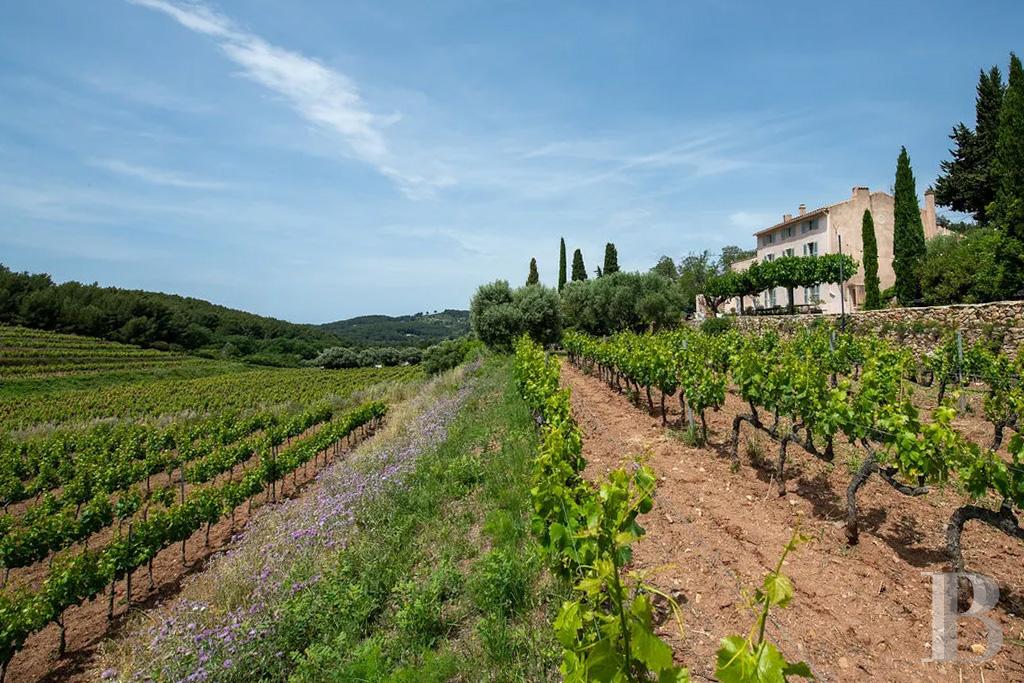vineyards for sale France provence cote dazur   - 22